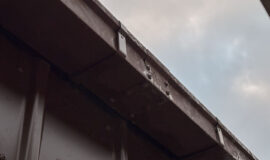 20260121_080241416_iOS