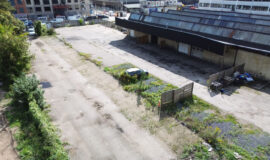 DCIM101MEDIADJI_0236.JPG